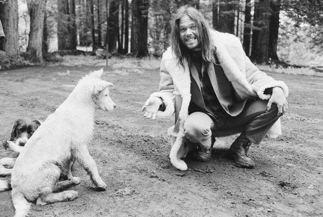 Neil Young with Dogs