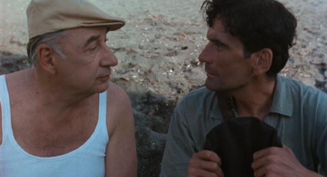 0231721_30294_MC_Tx360