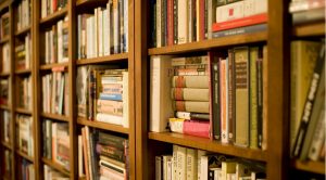 Romances curtos, contos, microcontos, haikais e aldravias