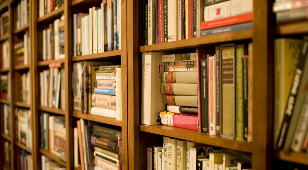 Quais são os pequenos grandes gêneros literários?