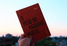 ‘O Peso do Pássaro Morto’, de Aline Bei: um romance de coragem Aline Bei