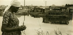 Carolina de Jesus (1)